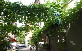 Unterm Wingert